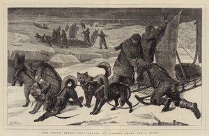 Den arktiske ekspedisjonen, pakker sammen sleder klare for en start
